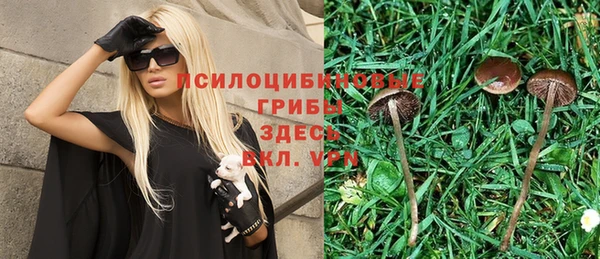 ГАЛЛЮЦИНОГЕННЫЕ ГРИБЫ Магас