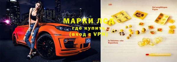 ГАЛЛЮЦИНОГЕННЫЕ ГРИБЫ Абаза