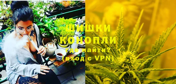 ГАЛЛЮЦИНОГЕННЫЕ ГРИБЫ Абаза