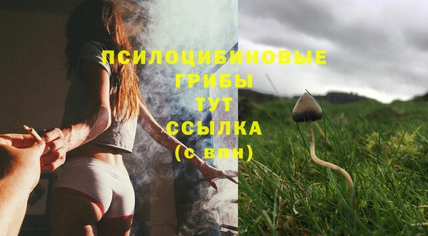 ECSTASY Магадан