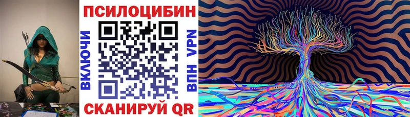 сайты даркнета телеграм  Тогучин  Псилоцибиновые грибы Psilocybe 