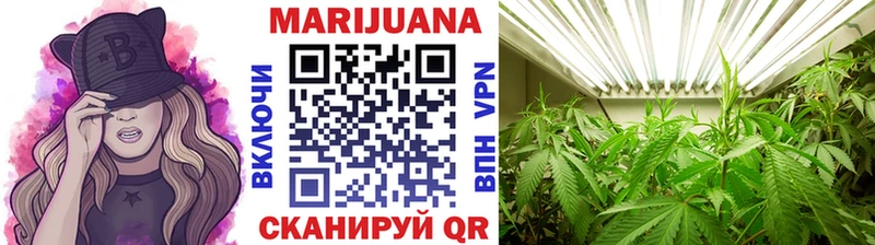 Канабис тримм  где найти наркотики  Тогучин 